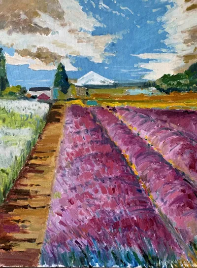 Lavander si Mt Hood
