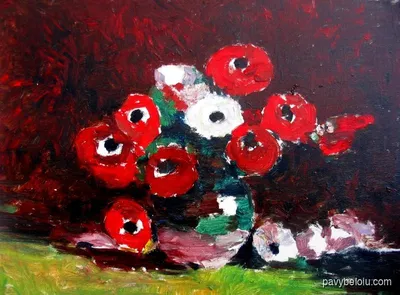 anemone